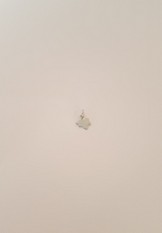 214 Hanger Klimop (groot) 214 Hanger Klimop (groot)