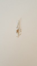 212 Hanger Olijftak  212 Hanger Olijftak